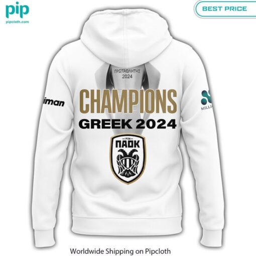 Champions Greek 2024 PAOK Hoodie Elegant picture.