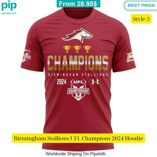 Birmingham Stallions UFL Champions 2024 Hoodie It is more than cute