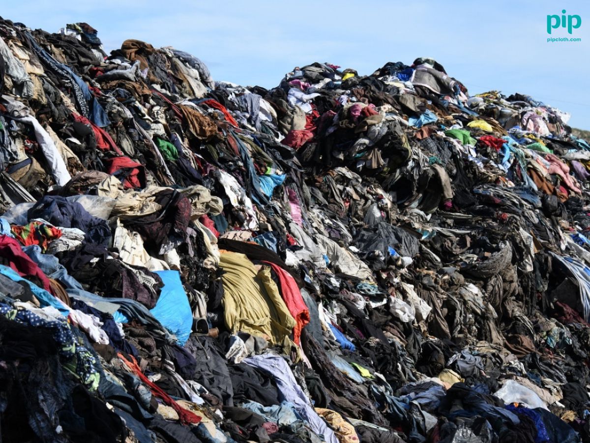 Landfilled discards from op shops fuel fast fashion's harmful cycle