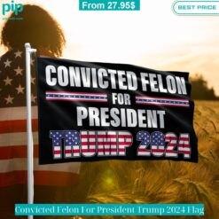 Convicted Felon For President Trump 2024 Flag Best click of yours