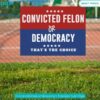 Convicted felon or democracy Feminist Yard Sign Stunning