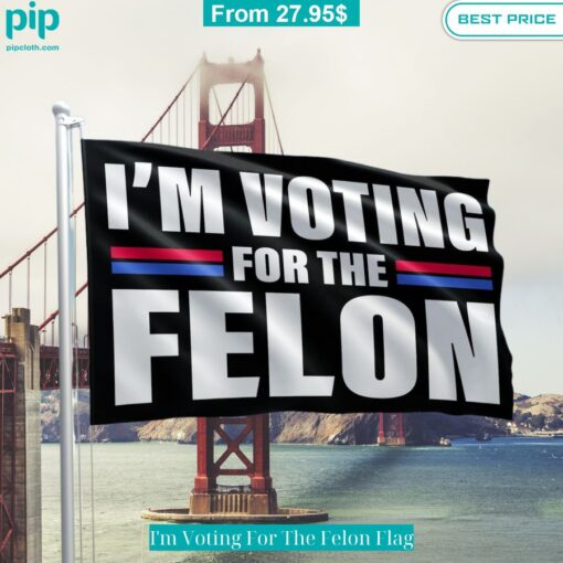 I'm Voting For The Felon Flag Hey! Your profile picture is awesome