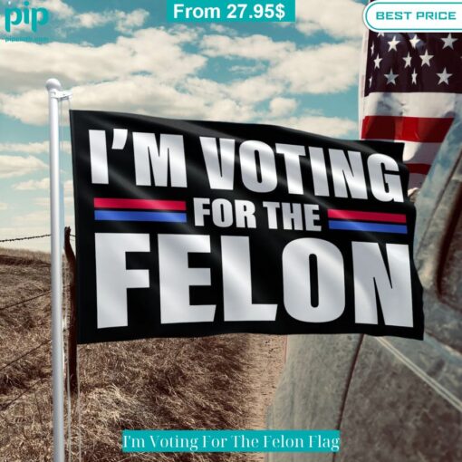 im voting for the felon flag 2 388.jpg